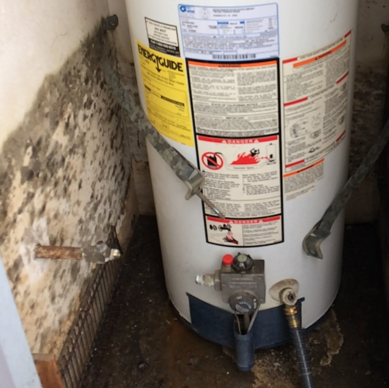 Mold Damage Water Heater Leak