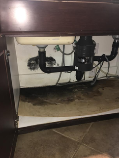 An Experienced Plumber Can Perform a Leak Detection and Repair Hidden Water Line Leaks