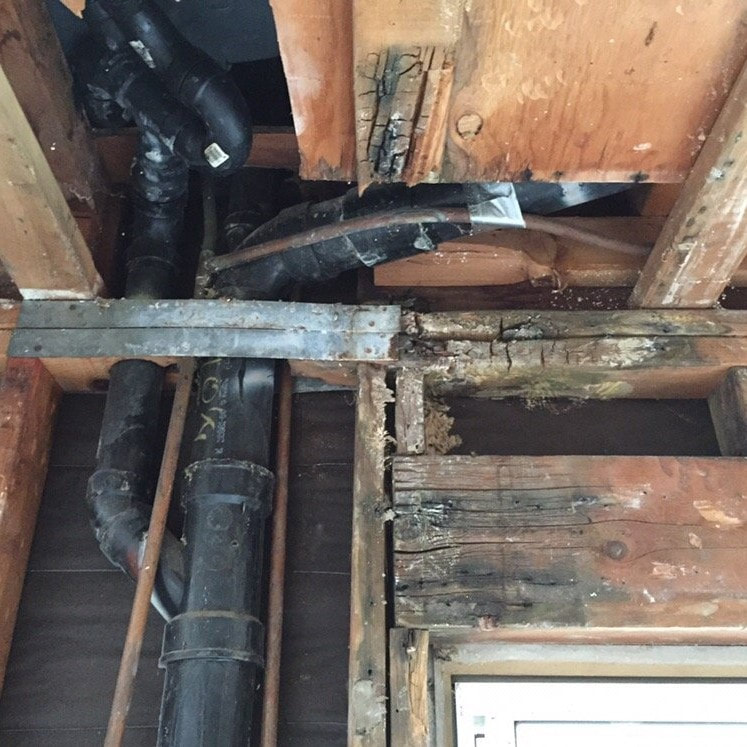 Water damage carlsbad